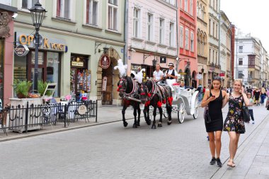 Krakow, Cumhuriyeti Polonya-Temmuz 3, 2017: Şenlikli zengin koşum safkan atlar. Eski bir şehir bir arabası yürümek.