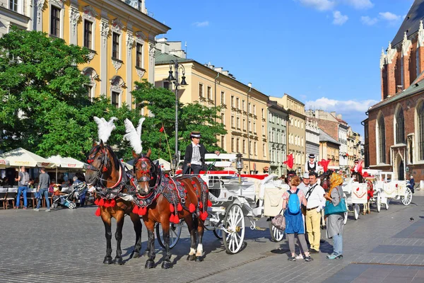 Krakow, Cumhuriyeti Polonya-Temmuz 3, 2017: Şenlikli zengin koşum safkan atlar. Eski bir şehir bir arabası yürümek.