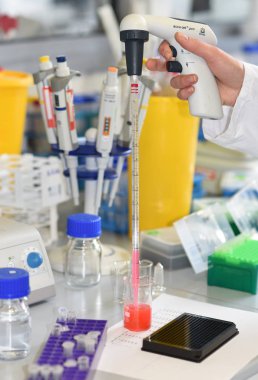 PRAGUE, CZECH REPUBLIC - 25 Mayıs 2019: laboratuvarda çalışan bilim adamı. Organik ve Biyokimya Enstitüsü.