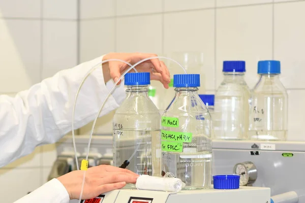 Prague Czech Republic May 2019 Scientist Working Laboratory Institute Organic — Stock Photo, Image