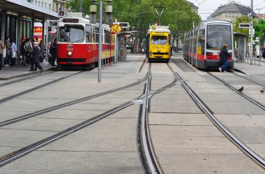 Viyana, Avusturya - 2 Mayıs 2017: turistik tramvay şehrin sokaklarında