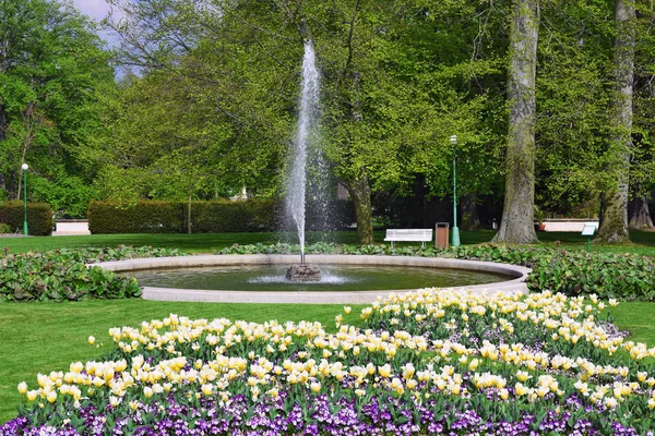 Vackra Blommor Parken — Stockfoto