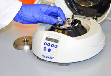 Bilim adamı laboratuarda bir deney yapıyor.