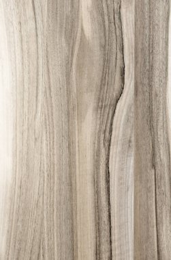 Ahşap panel ahşap bir parçası. Ceviz.