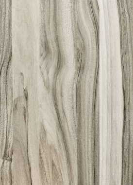 Ahşap panel ahşap bir parçası. Ceviz.