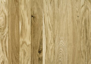 Ahşap panel ahşap bir parçası. Meşe.