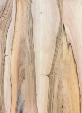 Ahşap panel ahşap bir parçası. Ceviz.