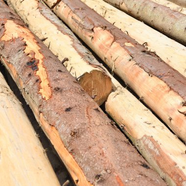 Hazırlık ve ahşap depo endüstriyel bir peyzaj.