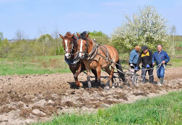 Kalush Ukraine Avril 2017 Mise Jachère Champ Printemps Par Une — Photo