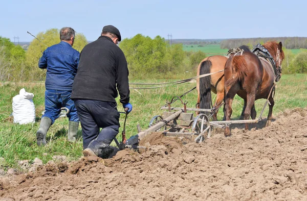 Kalush Ucrania Abril 2017 Fallow Spring Field Manual Arow Horse —  Fotos de Stock