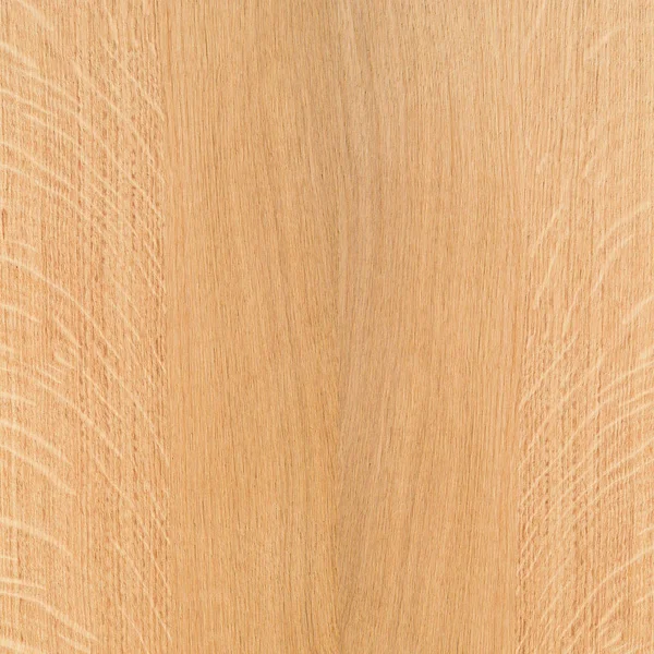 Frammento Pannello Legno Duro Quercia — Foto Stock