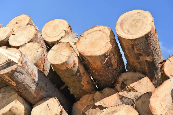 Voorbereiding Hout Opslag Een Industrieel Landschap — Stockfoto