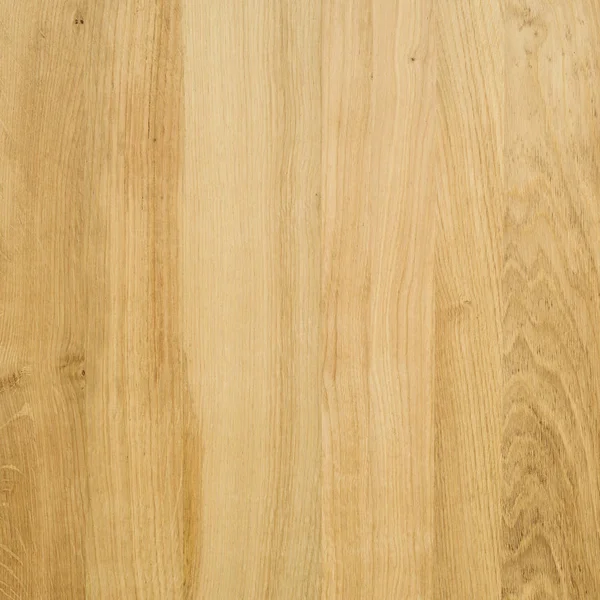 Frammento Pannello Legno Duro Quercia — Foto Stock