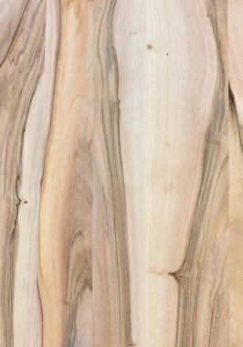 Ahşap panel ahşap bir parçası. Ceviz.