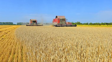 Kalush, Ukrayna 2 Ağustos 2015: Modern hasat hasat Mısır gevreği şehrin Kalush, Ukrayna, birleştirmek.