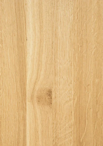 Fragment Wooden Panel Hardwood Oak — Stock Photo, Image
