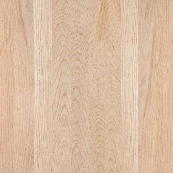 Ett Fragment Trä Panel Lövträd Oak — Stockfoto