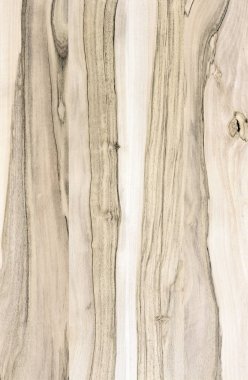 Ahşap panel ahşap bir parçası. Ceviz.