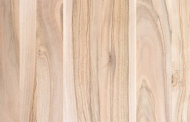 Ahşap panel ahşap bir parçası. Ceviz.