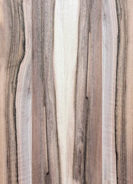 Ahşap panel ahşap bir parçası. Ceviz.