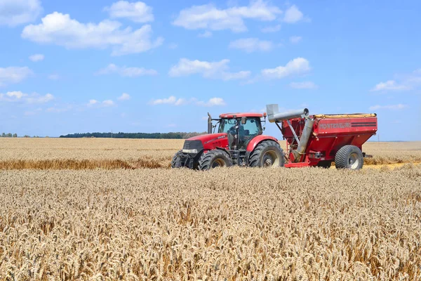 Kalush Ukraine Août 2016 Tracteur Moderne Avec Remorque Pour Récolte — Photo