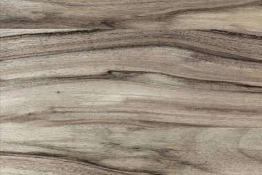 Ahşap panel ahşap bir parçası. Ceviz.