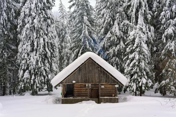 Ukraine Osmoloda Januar 2019 Touristenlodge Jagd Auf Einer Winterwaldlichtung Bergmoloda — Stockfoto