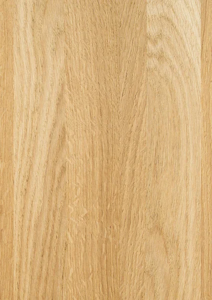 Ett Fragment Trä Panel Lövträd Oak — Stockfoto