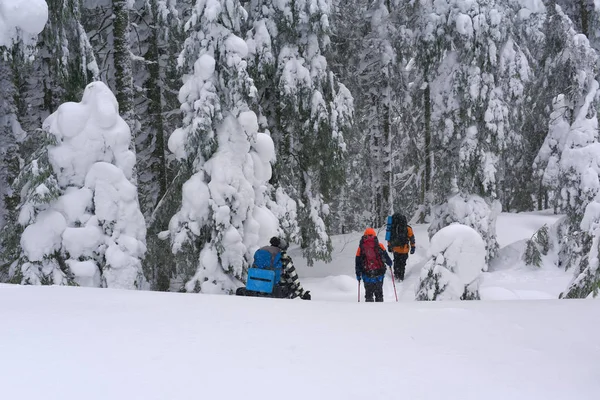 Grupo Turistas Floresta Inverno Encosta Montanha Cárpatos — Fotografia de Stock