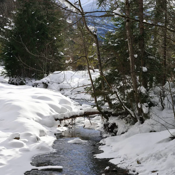 Paisaje Invierno Con Arroyo Montaña — Foto de Stock