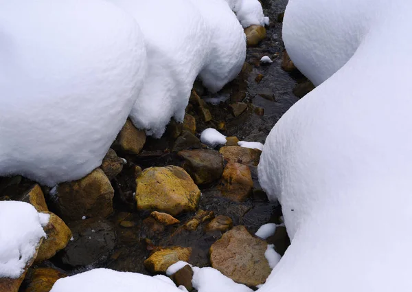 冬の川 雪カバー — ストック写真