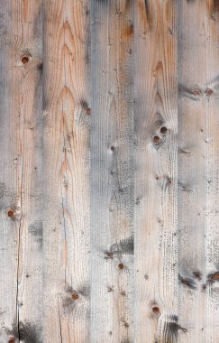 Eski bir kozalaklı kurulu panelinden parçası