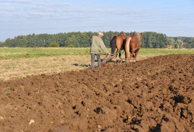 Kalush, Ukrayna - 29 Eylül 2017: bir alan tarafından el ile pulluk nadas üzerinde şehrin Kalush, Ukrayna atlı.