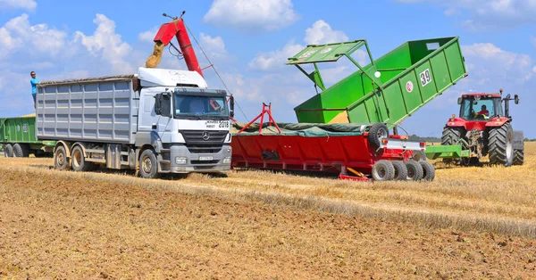 Kalush Ukraine Juli 2018 Getreide Aus Getreideanhänger Wird Mit Einem — Stockfoto