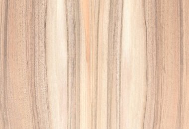 Ahşap panel ahşap bir parçası. Ceviz.