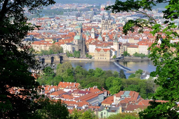 Prague Çek Cumhuriyeti Mayıs 2018 Görünümü Yukarıdaki Eski Şehrin — Stok fotoğraf