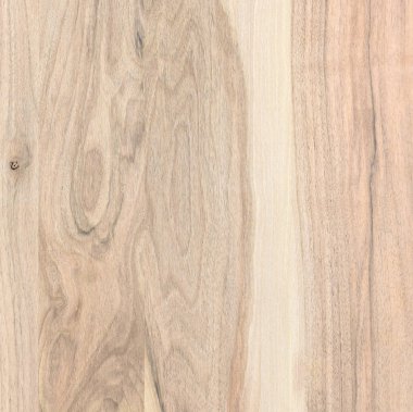 Ahşap panel ahşap bir parçası. Ceviz.