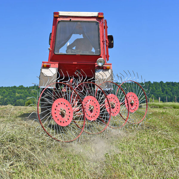 Harvesting hay in the fields of organic farm