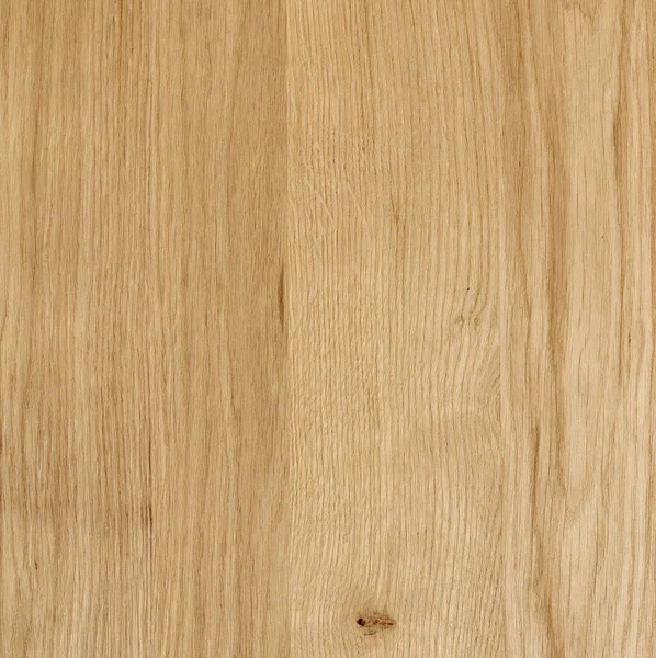 Fragment Wooden Panel Hardwood Oak — Stock Photo, Image