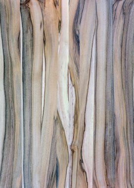 Ahşap panel ahşap bir parçası. Ceviz.