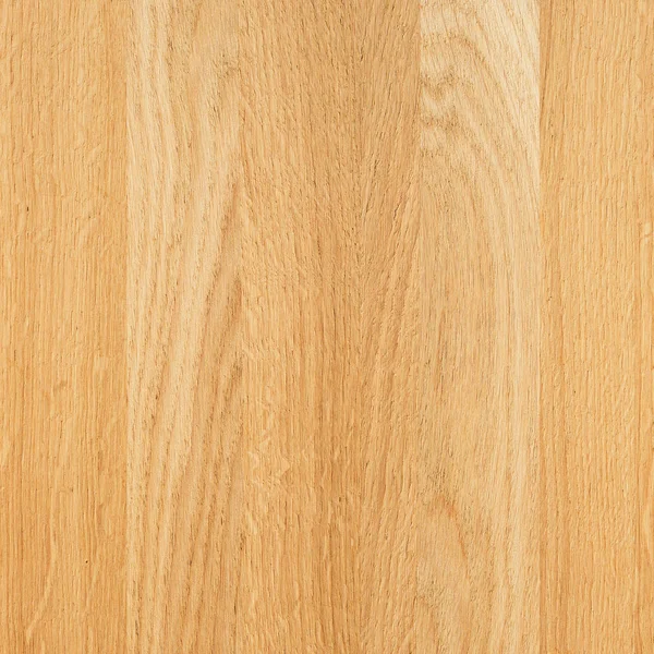 Ett Fragment Trä Panel Lövträd Oak — Stockfoto