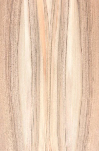 Fragment Wooden Panel Hardwood Walnut — Stock Photo, Image