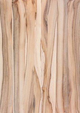 Ahşap panel ahşap bir parçası. Ceviz.