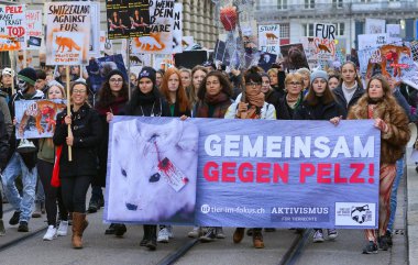 Zürih, İsviçre Konfederasyonu 10 Kasım 2018: Street geçit töreninde savunma hayvanların.