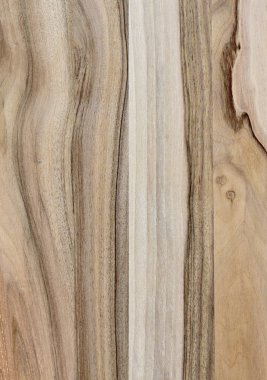 Ahşap panel ahşap bir parçası. Ceviz.