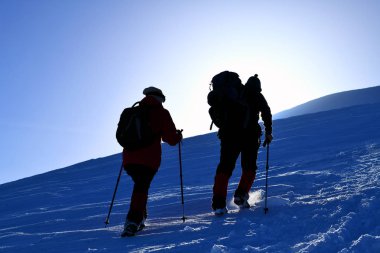 Hoverla dağın tepesine tırmanmak. Karpatlar.