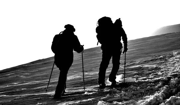 Klättra Till Toppen Berget Hoverla Karpaterna — Stockfoto