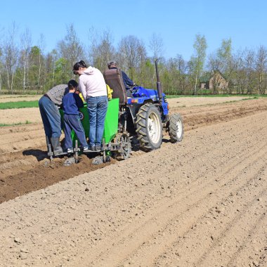 Kalush, Ukrayna 4 Nisan 2016: patates yakınlarında kasaba Kalush, Ukrayna dikim .