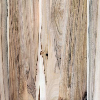 Ahşap panel ahşap bir parçası. Ceviz.