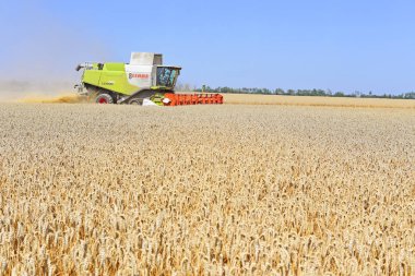 Kalush, Ukrayna 2 Ağustos 2017: Modern Claas hasat hasat Mısır gevreği şehrin Kalush, Ukrayna, birleştirmek..